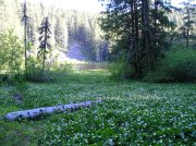 6.24-25.06 Memaloose Lake 124 